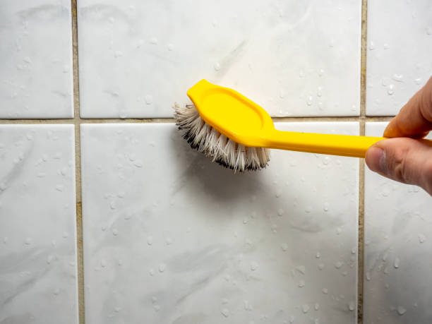 Best Mold Testing  in Dolton, IL