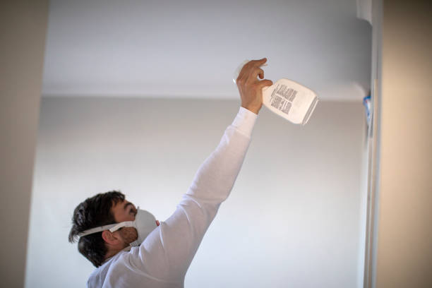 Best Mold Cleaning Services  in Dolton, IL