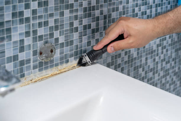 Best Emergency Mold Removal  in Dolton, IL
