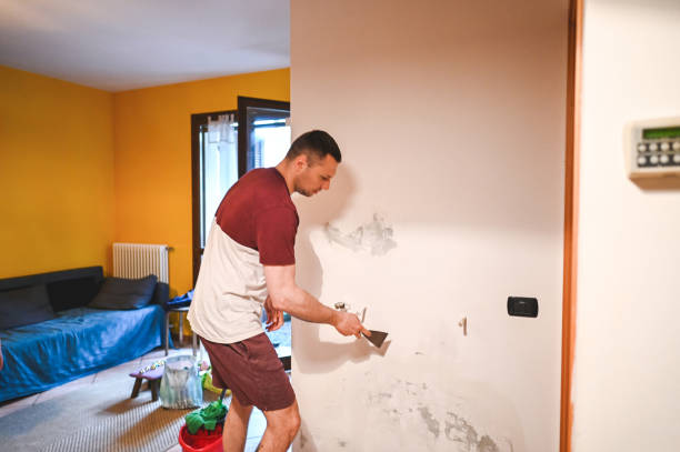 Best Certified Mold Removal  in Dolton, IL